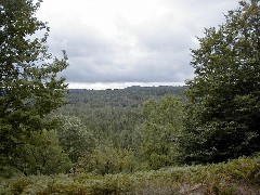 Jordan River Valley Hike Michigan NCT Hiking