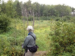 Ruth Bennett McDougal Dorrough; NCT; Minnesota; Linsmore Rd Trailhead