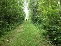 Ruth Bennett McDougal Dorrough; Joan Young; Minnesota; Linsmore Rd Trailhead