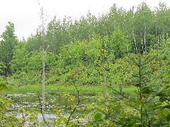 NCT; Minnesota; Lismore Rd Trailhead