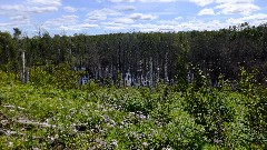 NCT; Minnesota; Heron Pond Campsite