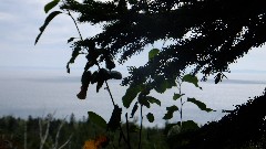 NCT/SHT; Gooseberry Falls State Park MN