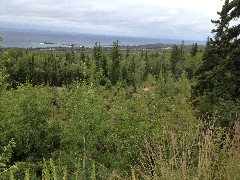 Pincushion Point (Grand Morais overlook)