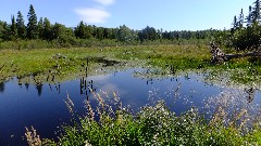 NCT/SHT; Jonvick Creek Camp