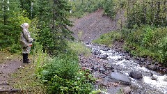 Ruth Bennett McDougal Dorrough; NCT/SHT; Devil Track River MN