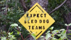 sign Expect Sled Dog Teams