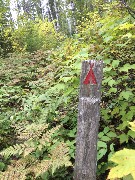 sign (Campsite)
NCT/Kek Kekekabic Trail MN