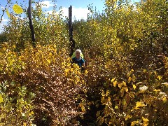 Ruth Bennett McDougal Dorrough; NCT/Kek; Kekekabic Trail MN