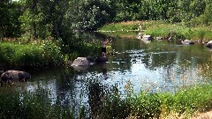 boys fishing; NCT; Minnesota; -- Whispering Woods Rd (South of Ely)