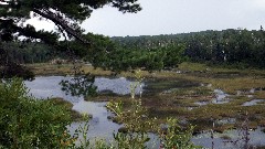 NCT; Minnesota; -- Snowbank Trail Head (Kekekabic)