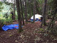 NCT; Minnesota; East Pike Lake campsite -- Gogebec camp site