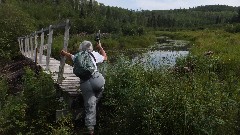 NCT; Minnesota; S Fowl Lake Rd -- Otter Lake Road