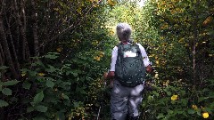 Ruth Bennett McDougal Dorrough; NCT; Border Roure Trail, MN