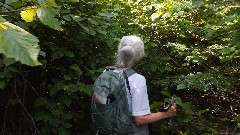 Ruth Bennett McDougal Dorrough; NCT; Border Route Trail, MN