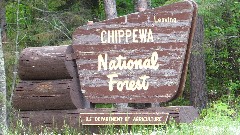 sign Chippewea National Forest