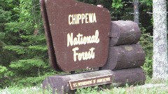 NCT Chippewa National Forest, MN