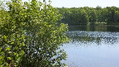 Lake; NCT; Chippewa Area, MN