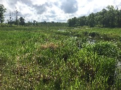 NCT; Woodtick Number Two Impoundment, MN