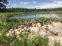 NCT; Woodtick Number Two Impoundment, MN