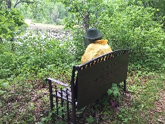 Ruth Bennett McDougal Dorrough; bench; NCT; Minnesota