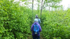 Ruth Bennett McDougal Dorrough; Itasca Moraine & Lurentian Lakes Chapters of the NCTA