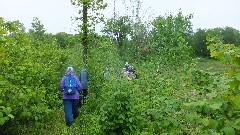 Itasca Moraine & Lurentian Lakes Chapters of the NCTA