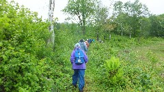 Itasca Moraine & Lurentian Lakes Chapters of the NCTA