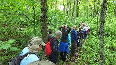 NCT; Itasca Moraine and Laurentian Lakes Chapter of the NCTA