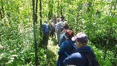 Ruth Bennett McDougal Dorrough; NCT; Itasca Moraine and Laurentian Lakes Chapter of the NCTA