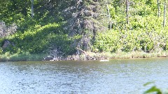 NCT; Itasca State Park, MN