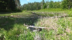 Itasca State Park, MNNCT; Minnesota