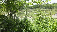 NCT; Itasca State Park, MN