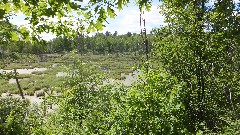 NCT; Itasca State Park, MN