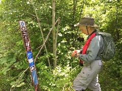 Ruth Bennett McDougal Dorrough; Lake Alice Trail -- Halverson Forest Rd, MN