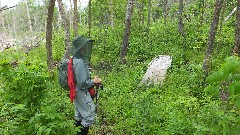 Ruth Bennett McDougal Dorrough; NCT; Tamarac Wildlife Refuge, MN