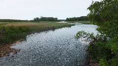 NCT; Tamarac Wildlife Refuge, MN