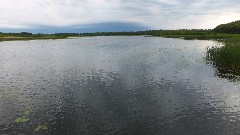 NCT; Tamarac Wildlife Refuge, MN