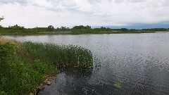 lake; NCT; Tamarac Wildlife Refuge, MN