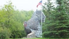 quirky; turkey statue; Detroit Lakes, MN