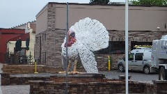 quirky; turkey statue ; Detroit Lakes, MN