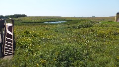 Prairie Wetlands Learning Center; Fergus Falls, MN