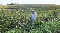 Ruth Bennett McDougal Dorrough; Monarch Butterfly; Prairie Wetlands Learning Center; Fergus Falls, MN