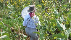 Ruth Bennett McDougal Dorrough; Prairie Wetlands Learning Center; Monarch Butterfly; Fergus Falls, MN