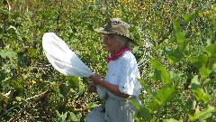 Ruth Bennett McDougal Dorrough; Monarch Butterfly; Prairie Wetlands Learning Center; Fergus Falls, MN