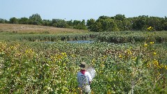 Ruth Bennett McDougal Dorrough; Monarch Butterfiy; Prairie Wetlands Learning Center; Fergus Falls, MN