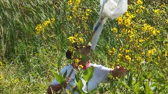 Ruth Bennett McDougal Dorrough; Monarch Butterfiy; Prairie Wetlands Learning Center; Fergus Falls, MN