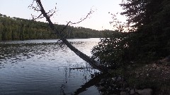 Bearskin Campground; Superior National Forest, Grand Marais, MN