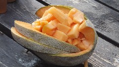 Cantaloupe; NCT; Minnesota; Border Route; cantaloupe at the Border Route Campground