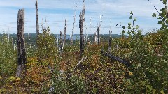 NCT Border Route; Gunflint Trail Superior National Forest, Grand Marais, MN