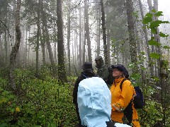 Ruth Bennett McDougal Dorrough; Deena Barshney; Mary Coffin; Kenneth Zimmer; NCT; Minnesota; Lake Superior Hike